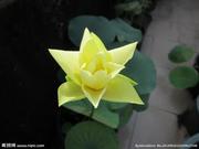 箜箜如也的个人资料头像