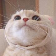 樂樂学编程的个人资料头像