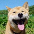 梦之以恒的个人资料头像