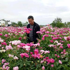 爱生活德文9J1头像