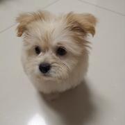 打雷了的个人资料头像