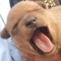 王彦祖128144524头像