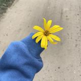 10月9奔奔订车头像