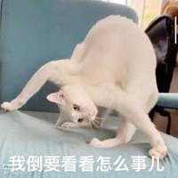 得叫我靓仔好吗头像