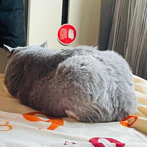 乐观钢笔5b1头像