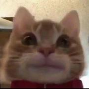 用户2037371882354的个人资料头像