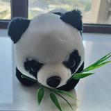 淡泊的星星pDf头像