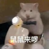卡尔鹰眼955头像