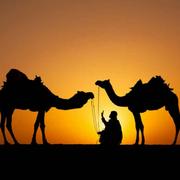 大秦帝国的勇士的个人资料头像