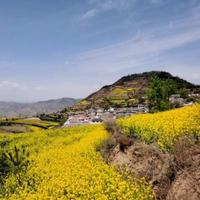 奋发清泉vm头像