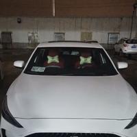 破伤风之矛头像