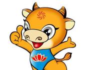 影子程序的个人资料头像