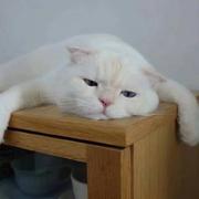 用户9968502243105的个人资料头像