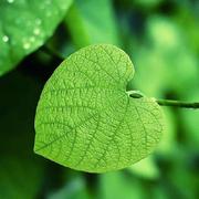 qqack的个人资料头像