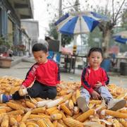 lucifer456的个人资料头像