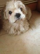 Tjlastnumber的个人资料头像