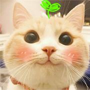 就三岁的个人资料头像