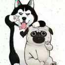 阡陌之中本尊的个人资料头像