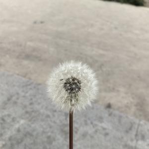女性成长头像