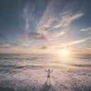 歌仕图的个人资料头像