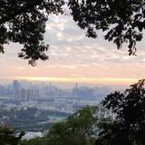 龙龙带你飞头像