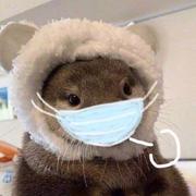 Alaskanlahti的个人资料头像