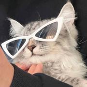 一两风935的个人资料头像