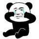 熊5头像