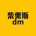 柴栗斯dm头像