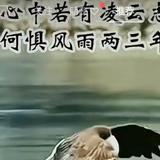苦乐年华123abc头像