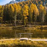 莫道君行早711头像