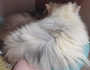 阿仙的个人资料头像