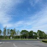 初学者86515头像