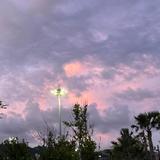 儒雅海风5a9头像