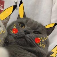 阿如熱头像