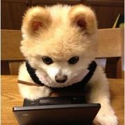 nniooo的个人资料头像