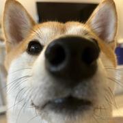 秋天的橙汁儿的个人资料头像