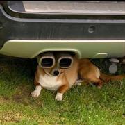 676的个人资料头像