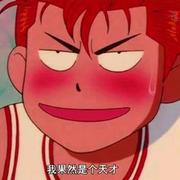 天才开发仔的个人资料头像