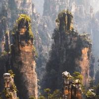 太极金木水火土头像