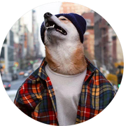 北野的个人资料头像