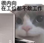 同载酒的个人资料头像