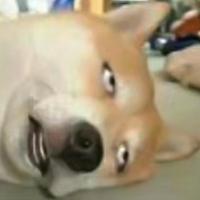 聪明的辰星8p9头像