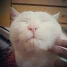 左下巴有点痒的个人资料头像