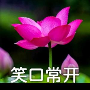 创意夏琳1n7u头像