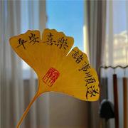 Seeker_ngu的个人资料头像