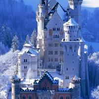 北方雪很白6543头像