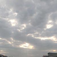 大饼干在路上头像
