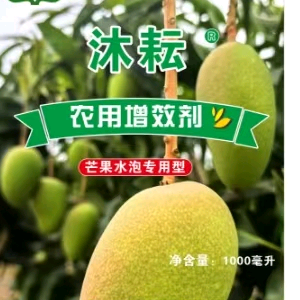 六宝老爸光头哥头像