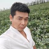 齐齐我来了头像